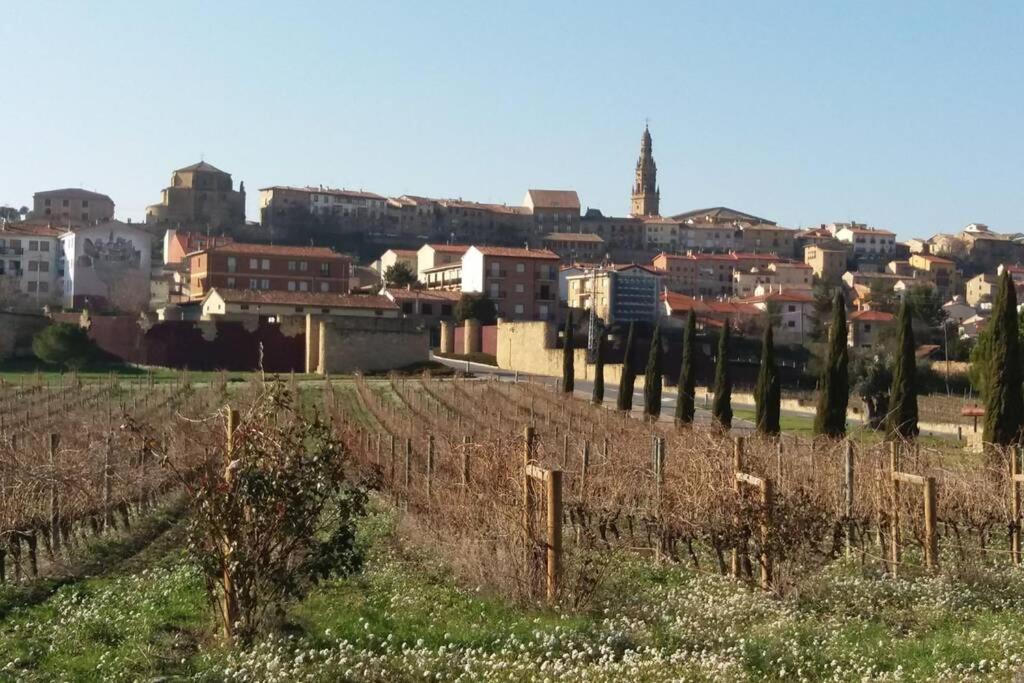 Bonito Alojamiento En Briones Luaran gambar